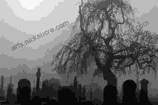 A Dark And Eerie Graveyard, With Twisted Trees And Fog Hanging Low, In Stull, Kansas. True Ghost Stories: Real Haunted Cemeteries And Graveyards