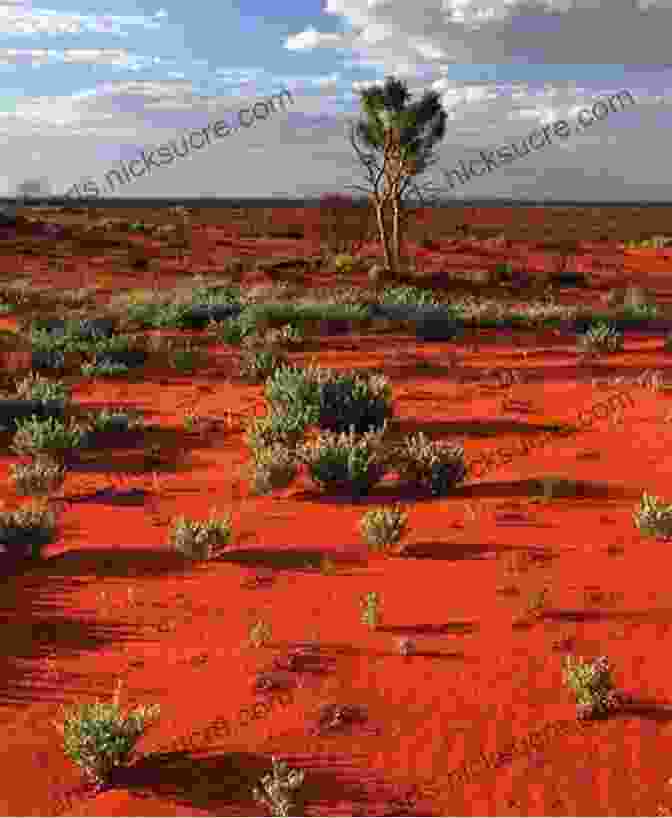 A Vast Expanse Of The Australian Outback, With Red Sand Dunes And A Clear Blue Sky. Our National Parks: A Campaign For The Preservation Of Wilderness (John Muir: The Eight Wilderness Discovery 5)