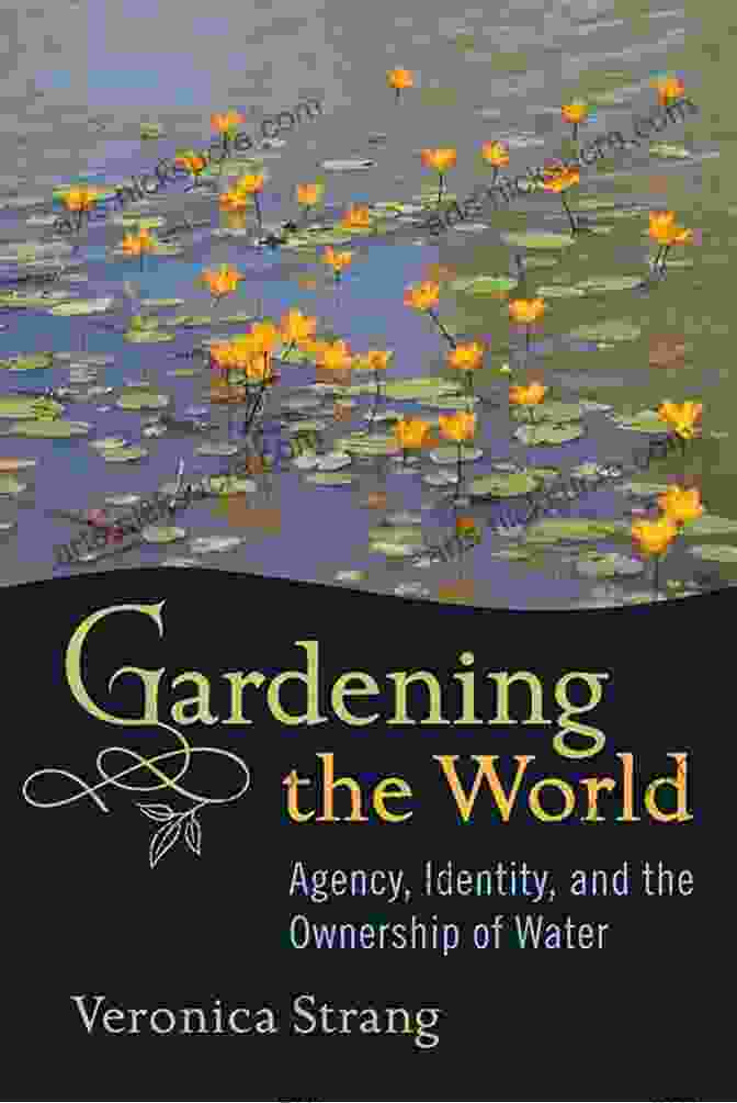 Agency Identity And The Ownership Of Water Gardening The World: Agency Identity And The Ownership Of Water (International Studies In Socia)