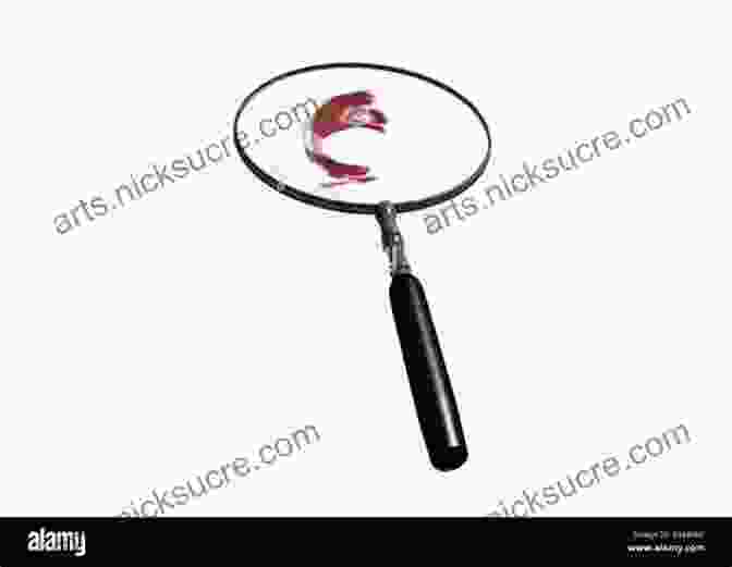 Magnifying Glass Key Concepts In Crime Fiction (Key Concepts: Literature)