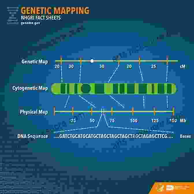 Map Of The Human Genome Showing Regions Of Genetic Variation A Brief History Of Everyone Who Ever Lived: The Human Story Retold Through Our Genes