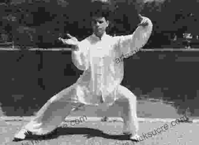 Taijiquan Movements Illustrating Relaxation, Coordination, And Balance Mastering Yang Style Taijiquan Zhongwen Fu