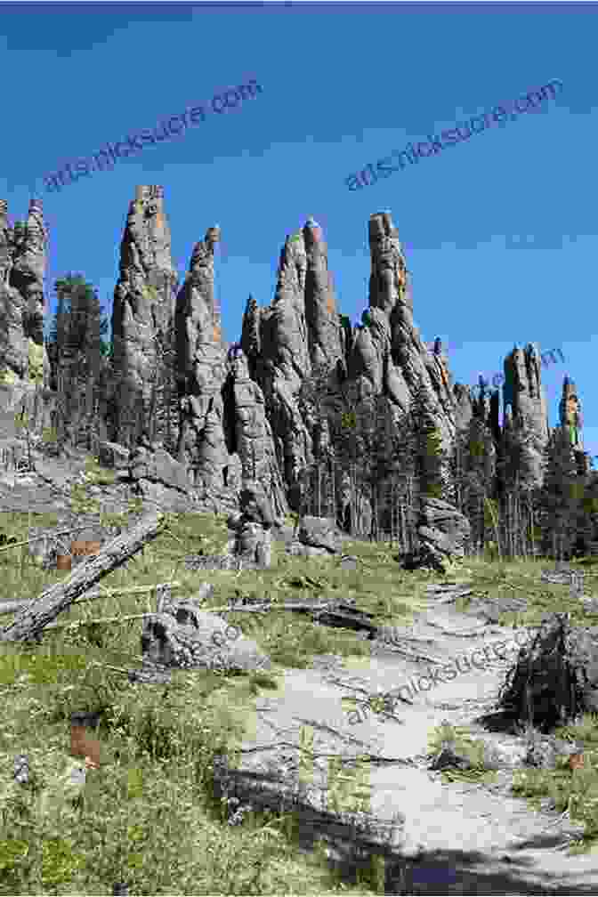 View Of The Black Hills From The Needles Highway Trail Hiking The Black Hills Country: A Guide To More Than 50 Hikes In South Dakota And Wyoming (State Hiking Guides Series)