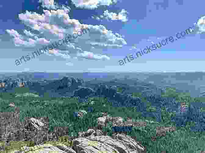 View Of The Black Hills From The Summit Of Black Elk Peak Hiking The Black Hills Country: A Guide To More Than 50 Hikes In South Dakota And Wyoming (State Hiking Guides Series)