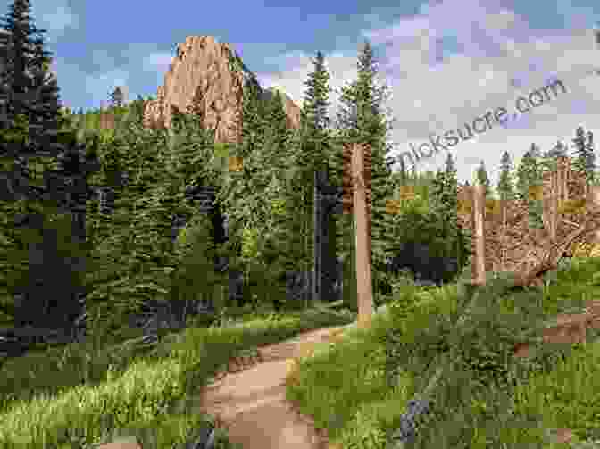 View Of The Black Hills National Forest From The Trail Hiking The Black Hills Country: A Guide To More Than 50 Hikes In South Dakota And Wyoming (State Hiking Guides Series)