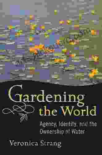 Gardening the World: Agency Identity and the Ownership of Water (International Studies in Socia)