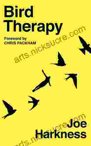 Bird Therapy Joe Harkness